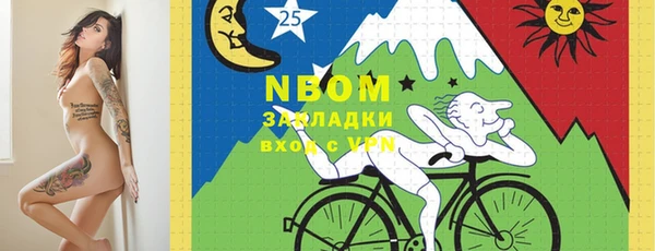 прущие грибы Горно-Алтайск