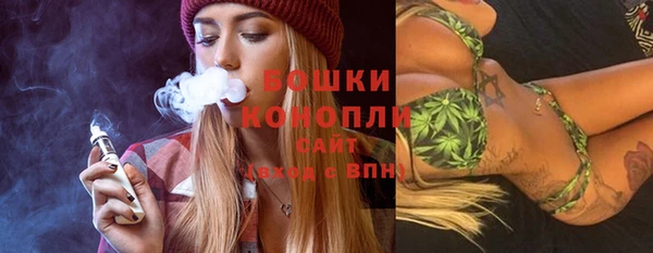 прущие грибы Горно-Алтайск