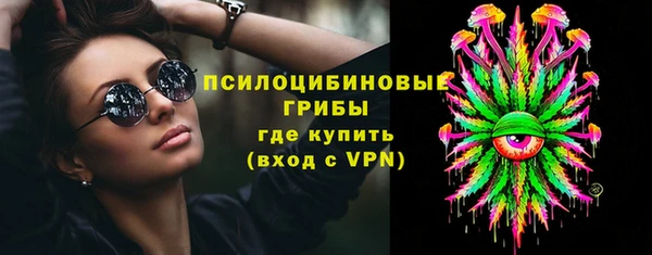 прущие грибы Горно-Алтайск
