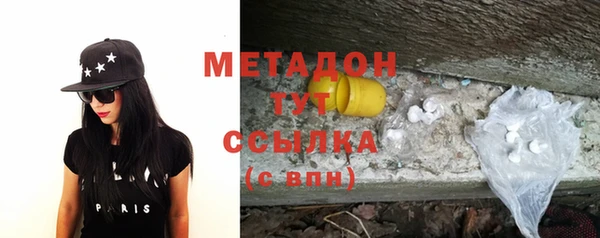 прущие грибы Горно-Алтайск