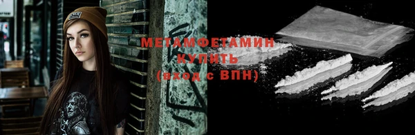 прущие грибы Горно-Алтайск