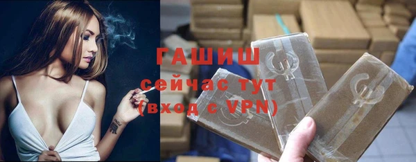прущие грибы Горно-Алтайск