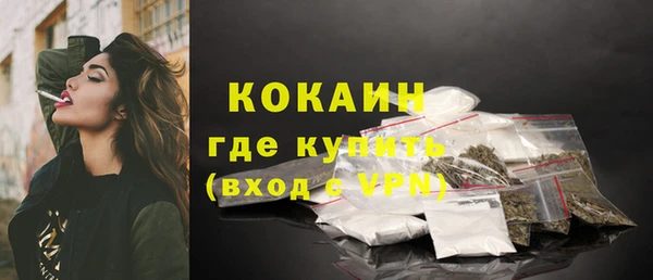 кокс Вяземский