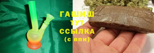 прущие грибы Горно-Алтайск