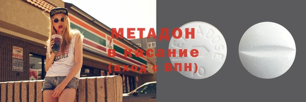 прущие грибы Горно-Алтайск