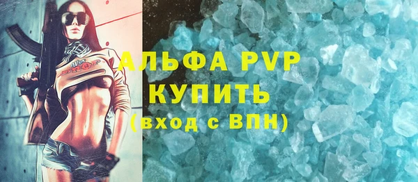 прущие грибы Горно-Алтайск