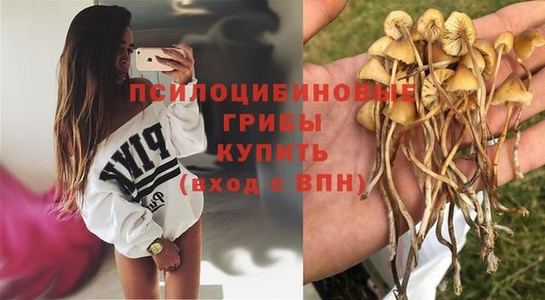 кокаин VHQ Горнозаводск