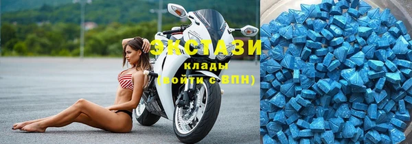 прущие грибы Горно-Алтайск
