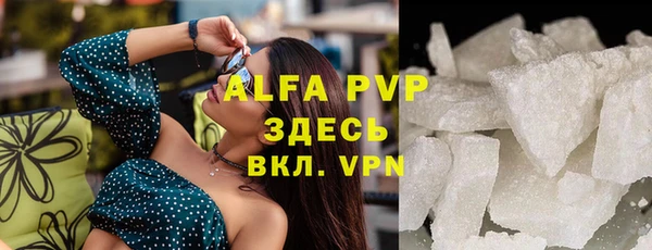 прущие грибы Горно-Алтайск