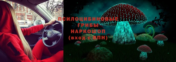 прущие грибы Горно-Алтайск